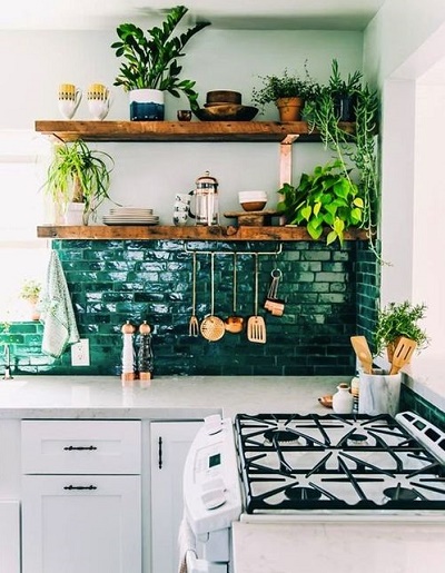 観葉植物できれいに彩ったキッチン
